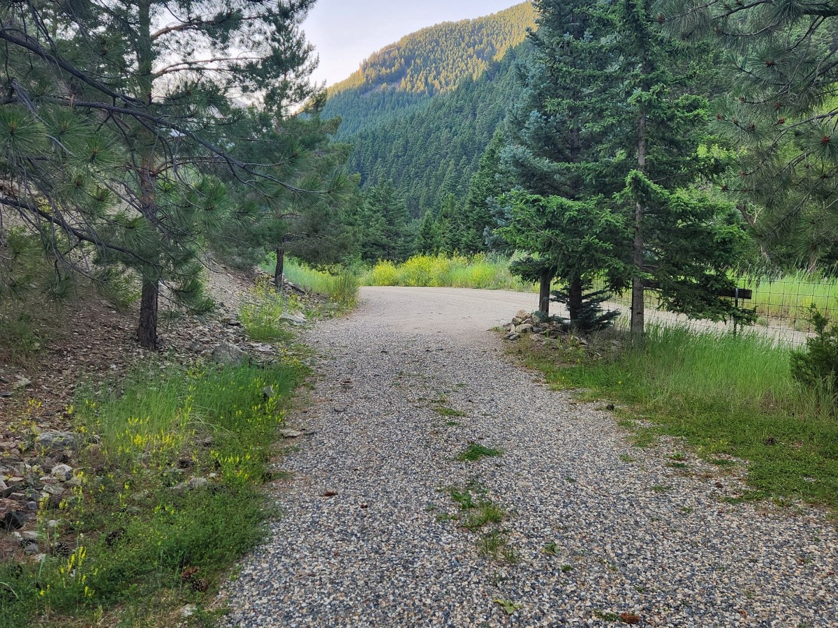 Miles City to Yellowstone: A Journey of&nbsp;Surprises